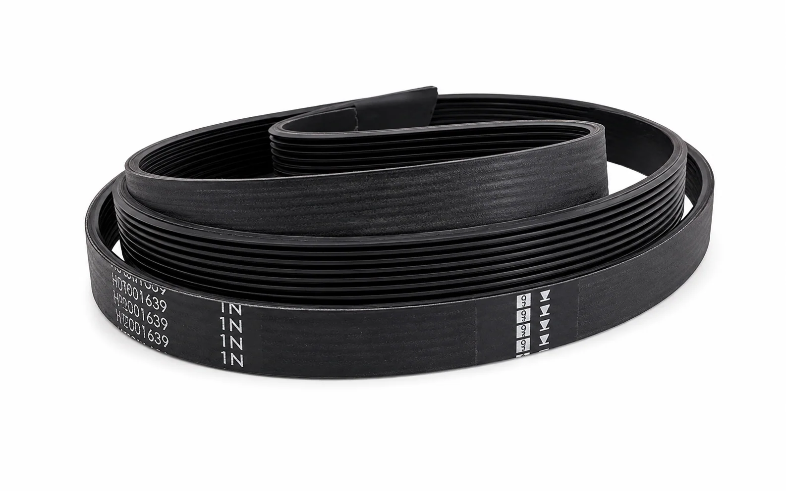 CORREA 1212 H-8 PATRIOT ORG ELASTICA