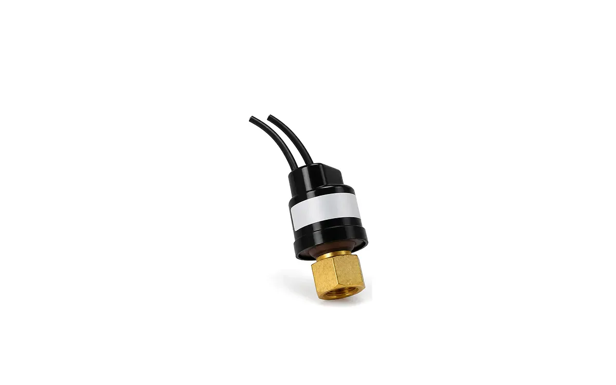Presostato encapsulado BlueStar BLPS-YKL 5/20 con dos cables y conexión de bronce
